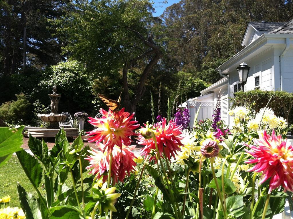 Monarch Cove Inn Capitola Exterior photo